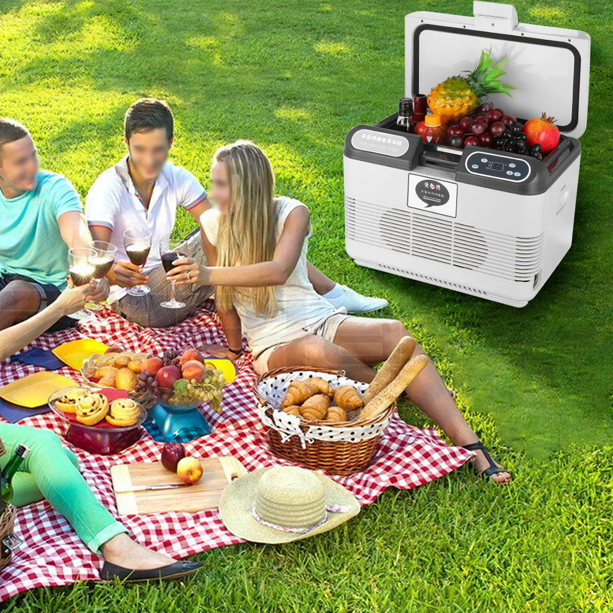 F41 Portable Fridge, Cooler Freezer 15L Trolley Design