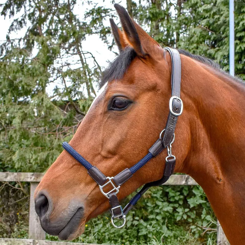 John Whitaker Raywell Leather Rope Headcollar