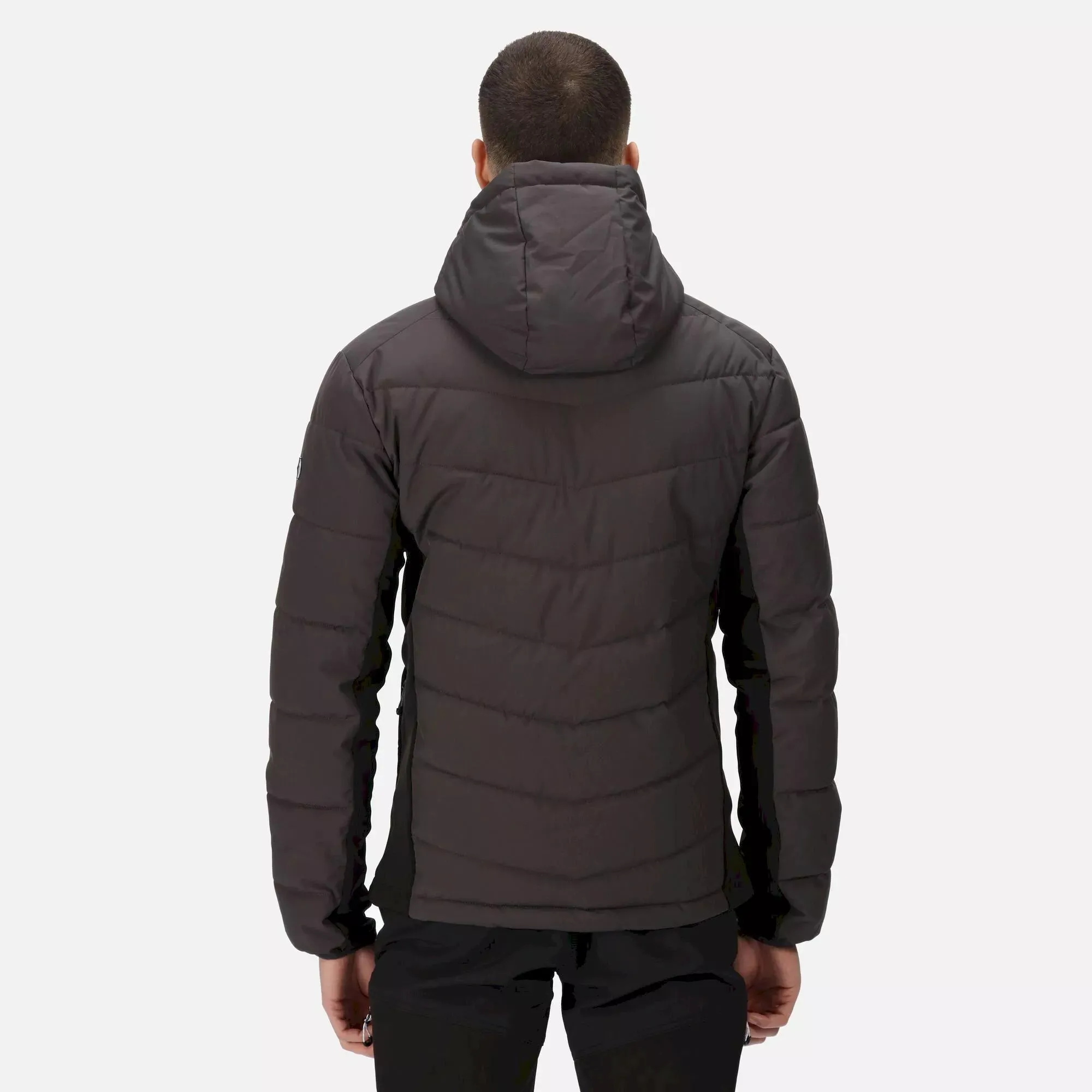 Regatta Men's Cranmore Padded Jacket | Ash